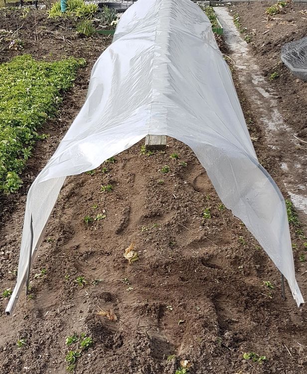 Hagelschutz, Regenschutz, Beschattung, Tunnelbogen Kaufen auf Ricardo