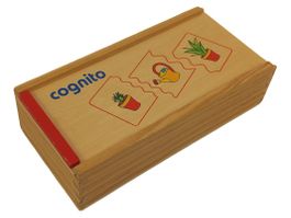 BELEDUC Cognito Aktivitäten
