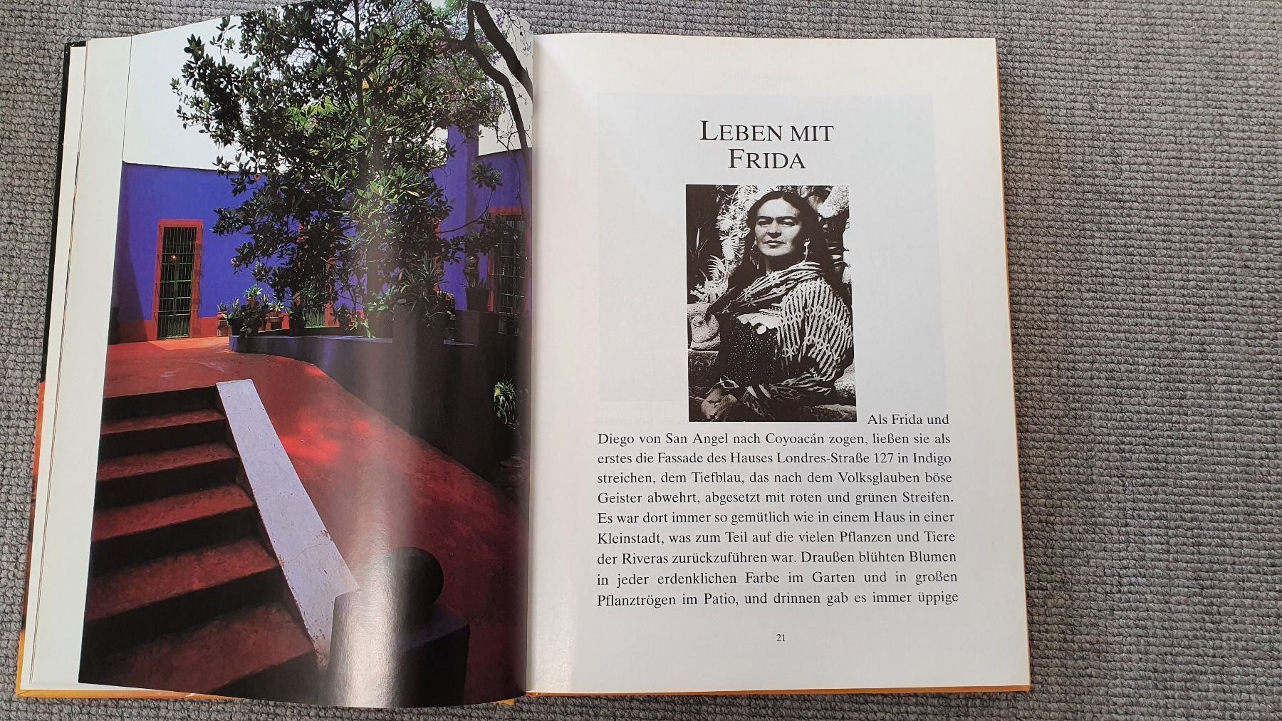 Libri: Frida Kahlo:Kochbuch+Familiengeschichte – Usato da Glattfelden venduto da sessa123 8