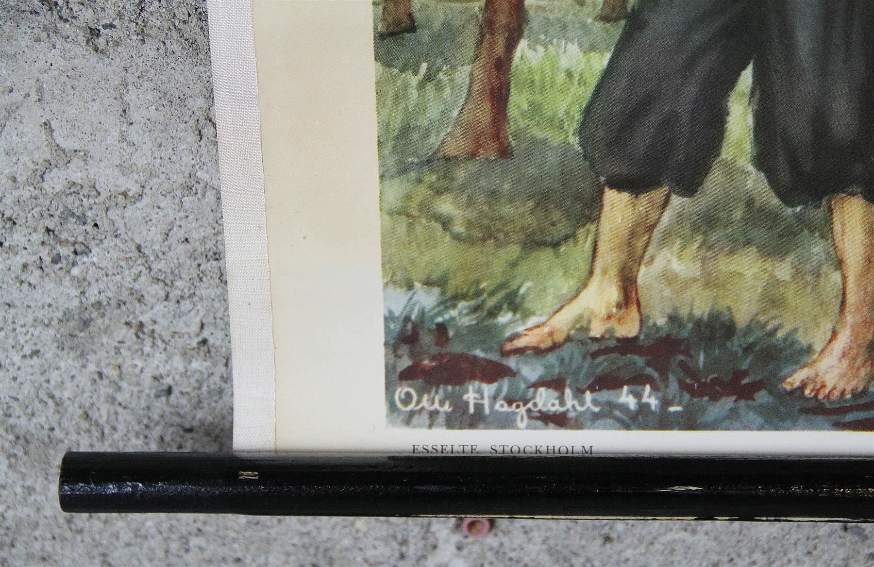 Posters & Illustrations: Schulwandbild "Feigenernte, Feigen" – D'occasion à Birrwil par brandschatz_birrwil 3