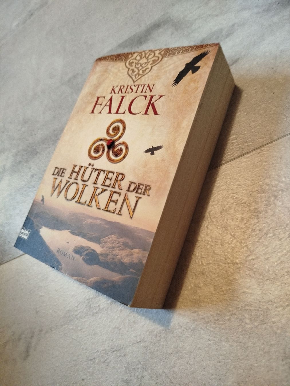 Libri: Die Hüter der Wolken - Kristin Falck – Usato da St. Gallen venduto da jbu_ns6v 1