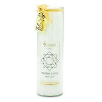 Palm Light Reinheit Weisser Lotus