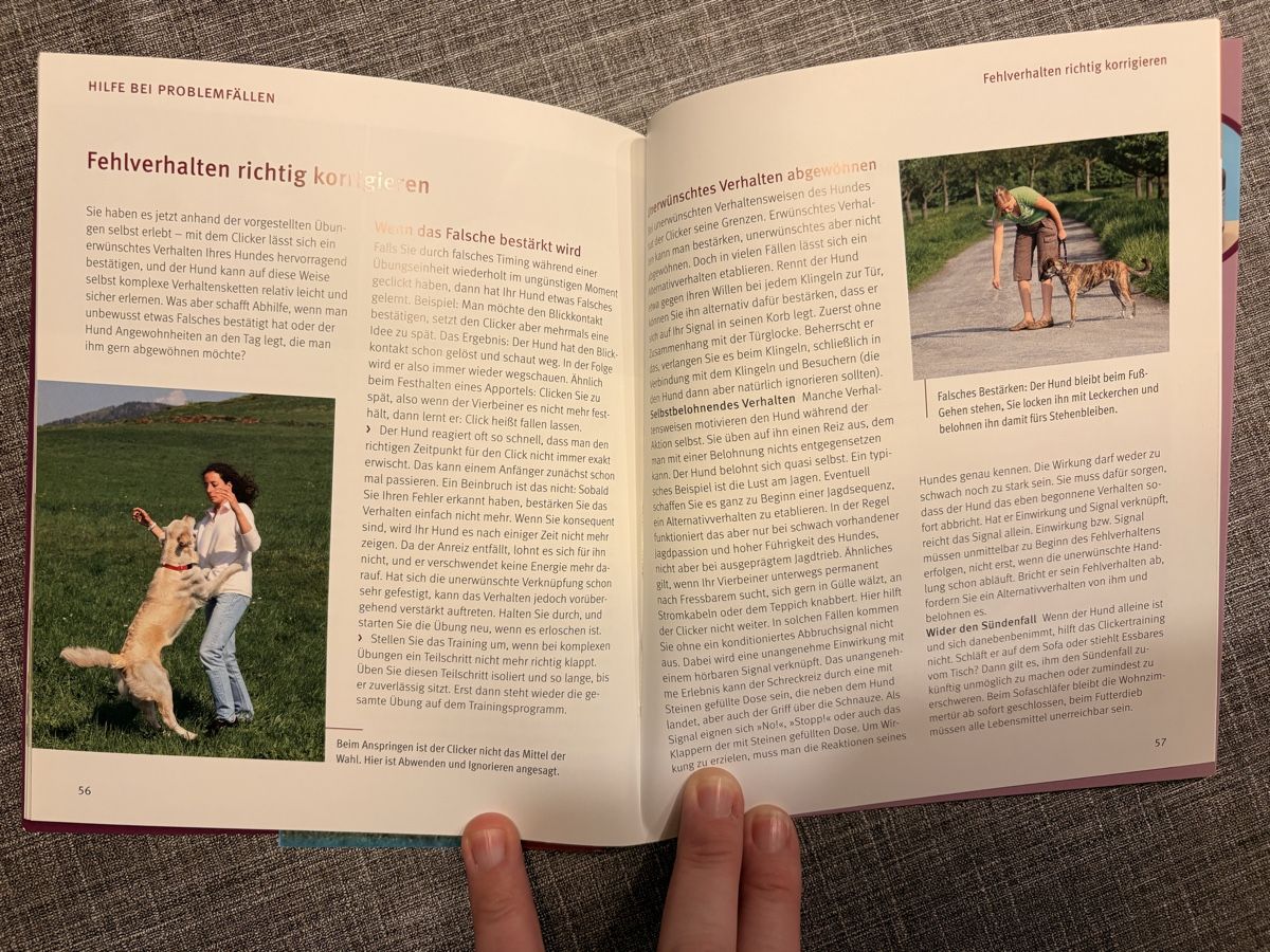 Libri: Hund, Sachbuch, Buch, Ratgeber, – Usato da Breitenbach venduto da Alice_xy 2