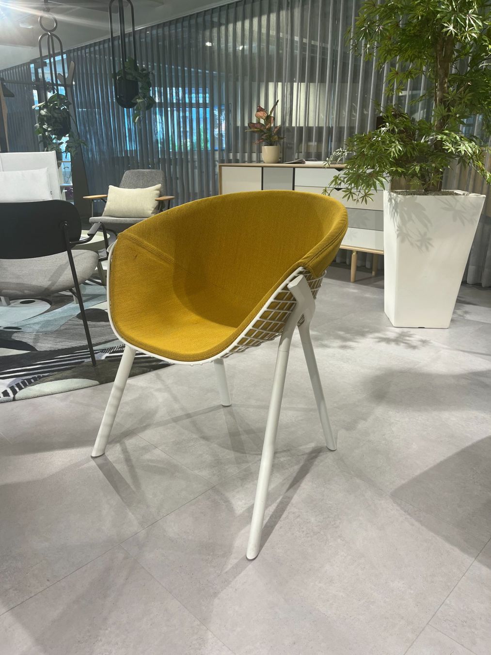 Alias Sedie: Alias KOBI Chair Vollpolster – Usato da Gossau SG venduto da PSAG9200