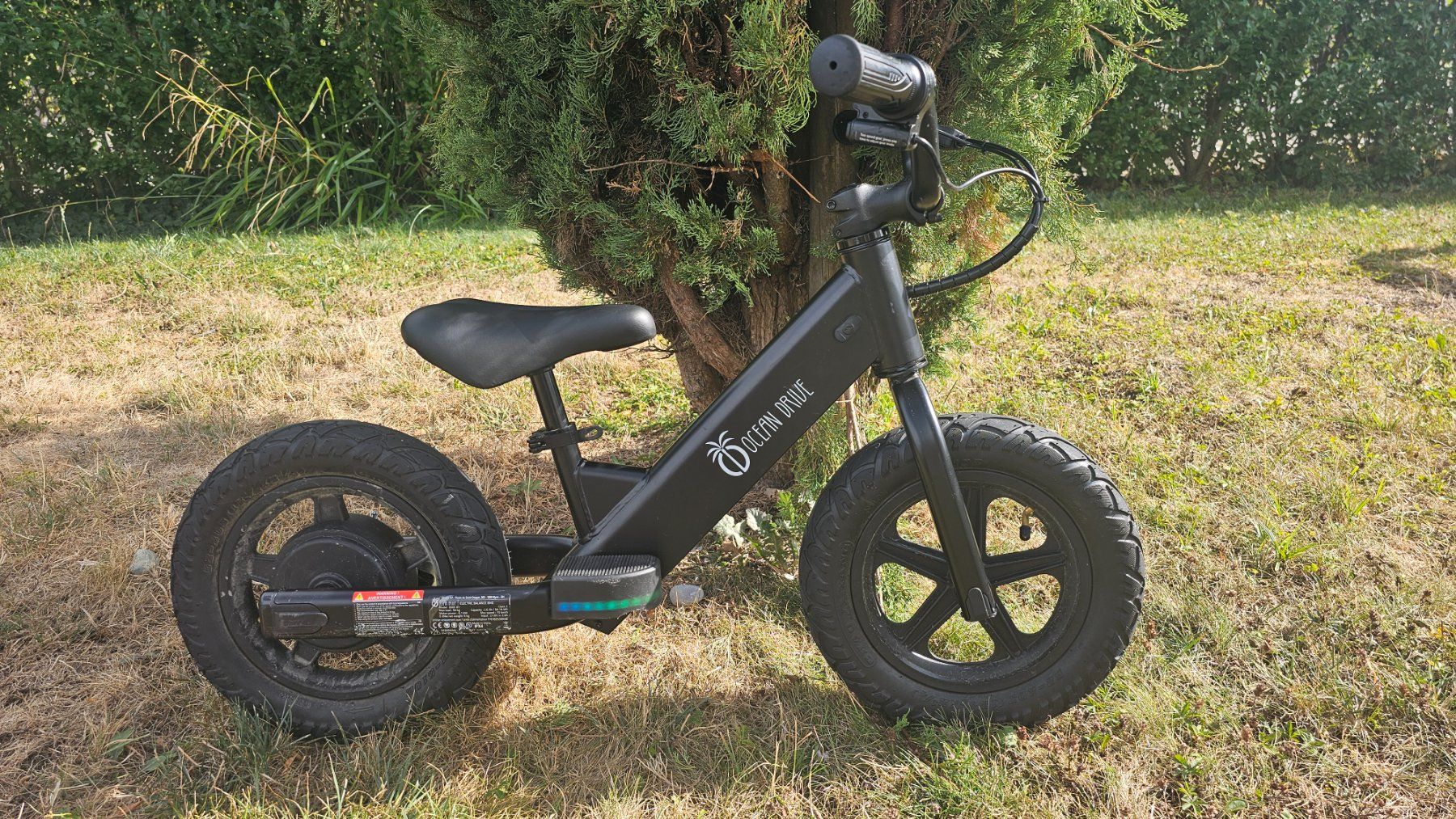 Veicoli per bambini: Elektrofahrrad Kinder – Usato da Bichelsee venduto da DaminaS 1