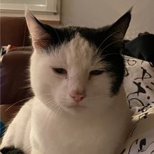 Profile image of kroost