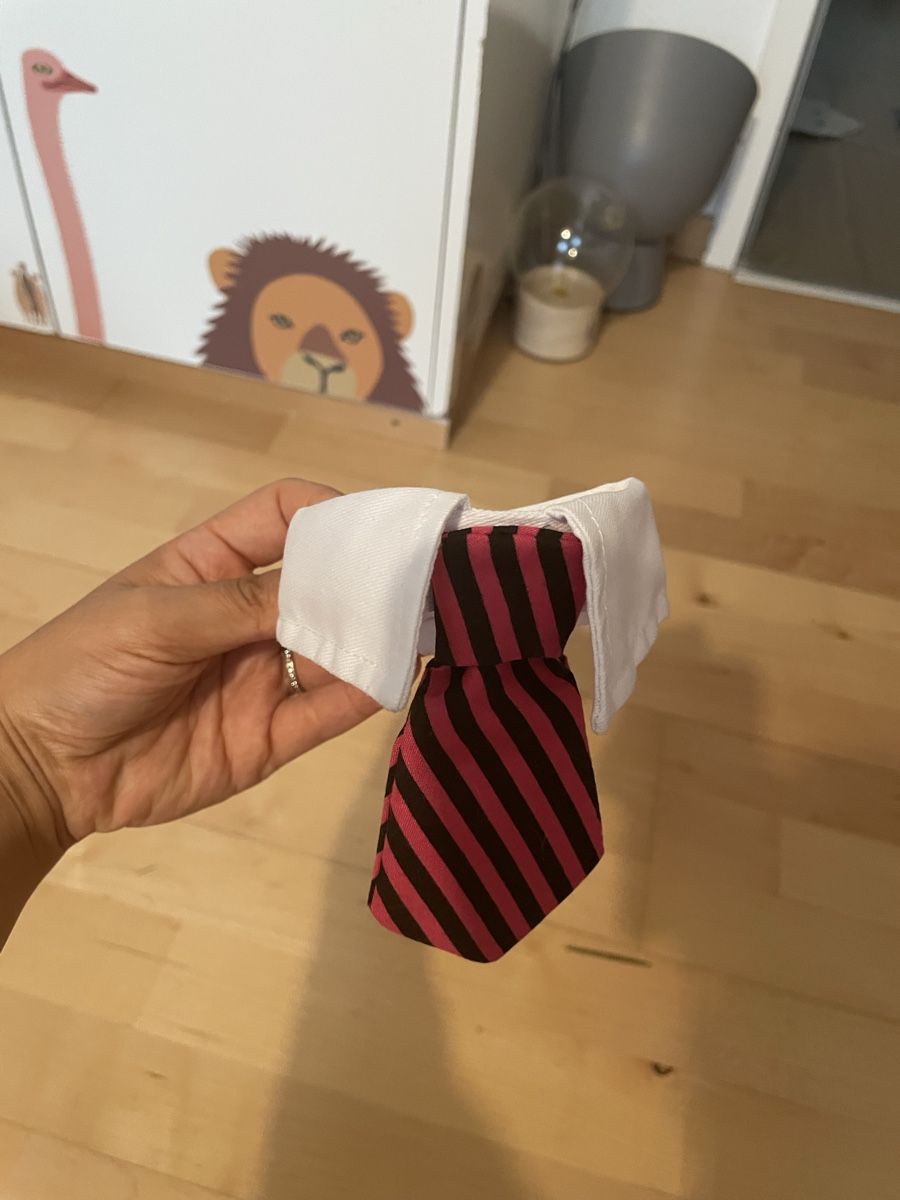 Costumes: déguisement chien/chat – D'occasion à Sierre par Ruyfigas 1