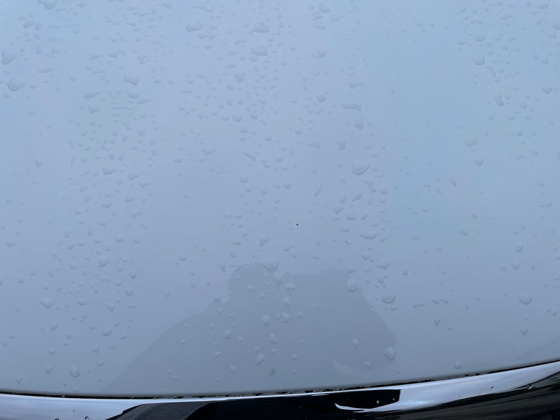 Ford Autos: Ford Focus Limousine 1.4 – Gebraucht aus Ipsach von takacseni 3