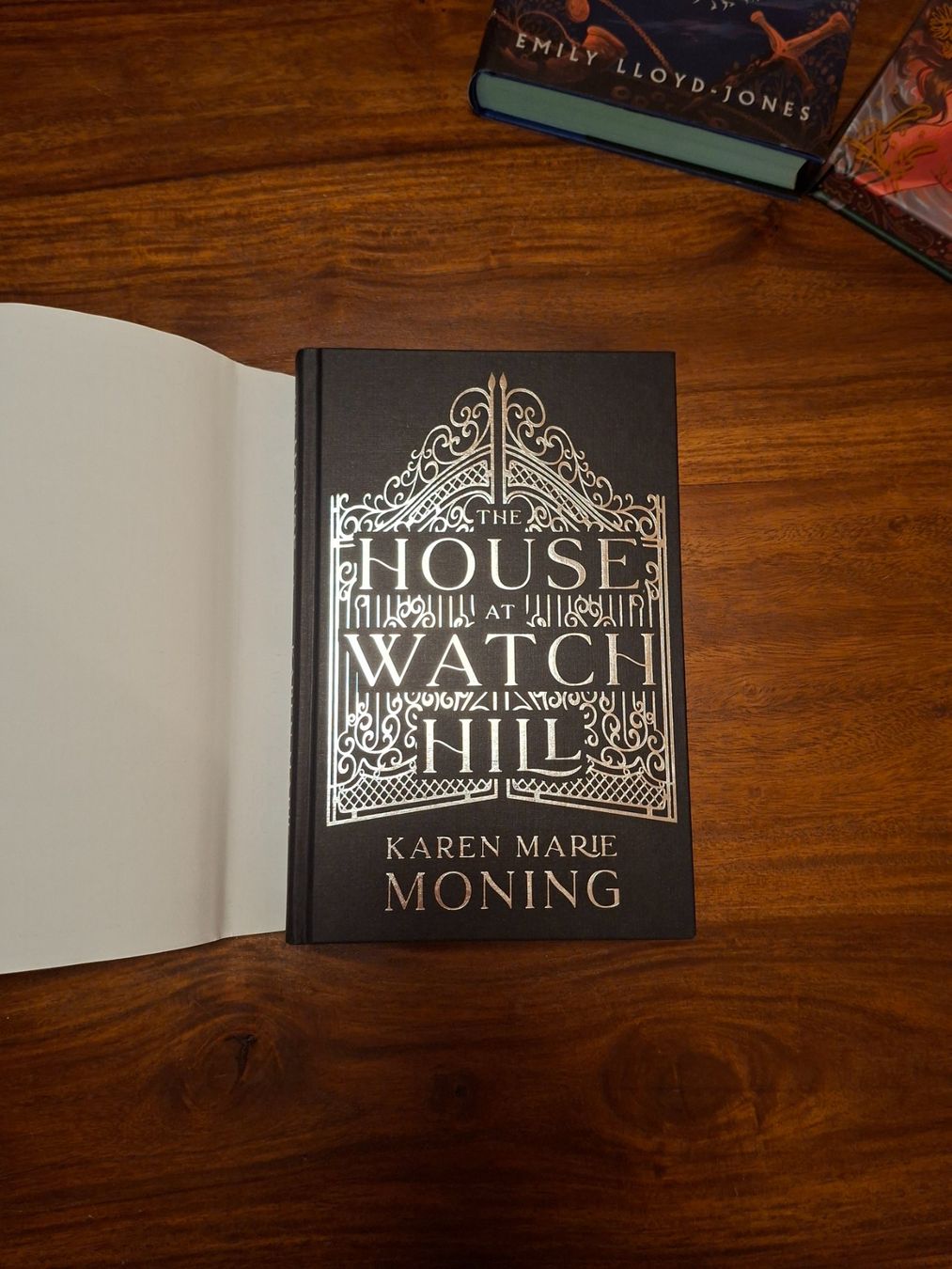 Libri: FAIRYLOOT packet, signierte Bücher – Nuovo (secondo la descrizione) da Regensdorf venduto da amb_n5n7 4