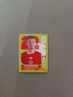 Panini CAN14