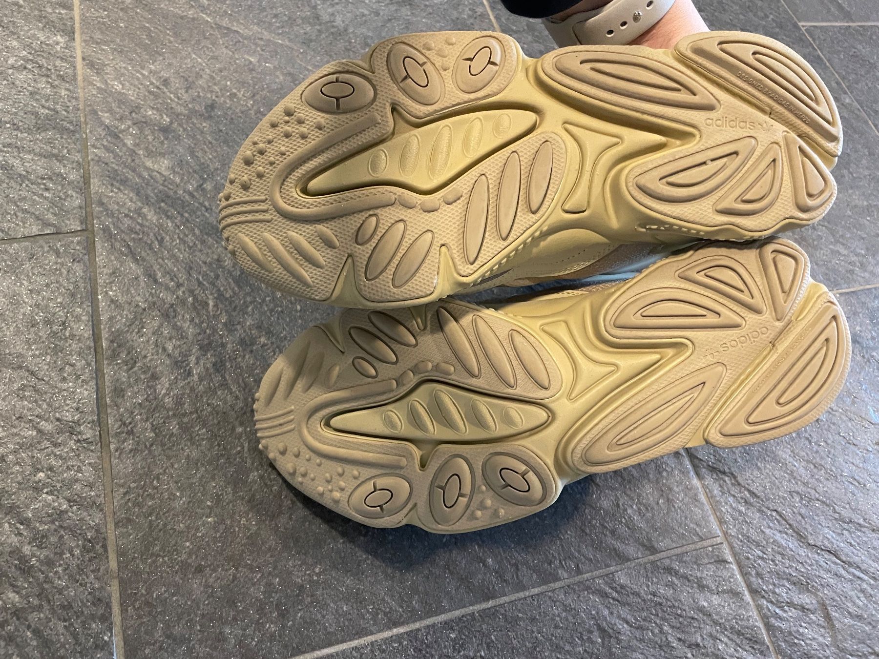 Adidas Scarpe da donna: Adidas Ozweego Sneakers – Nuovo (secondo la descrizione) da Schwerzenbach venduto da coccanella 2