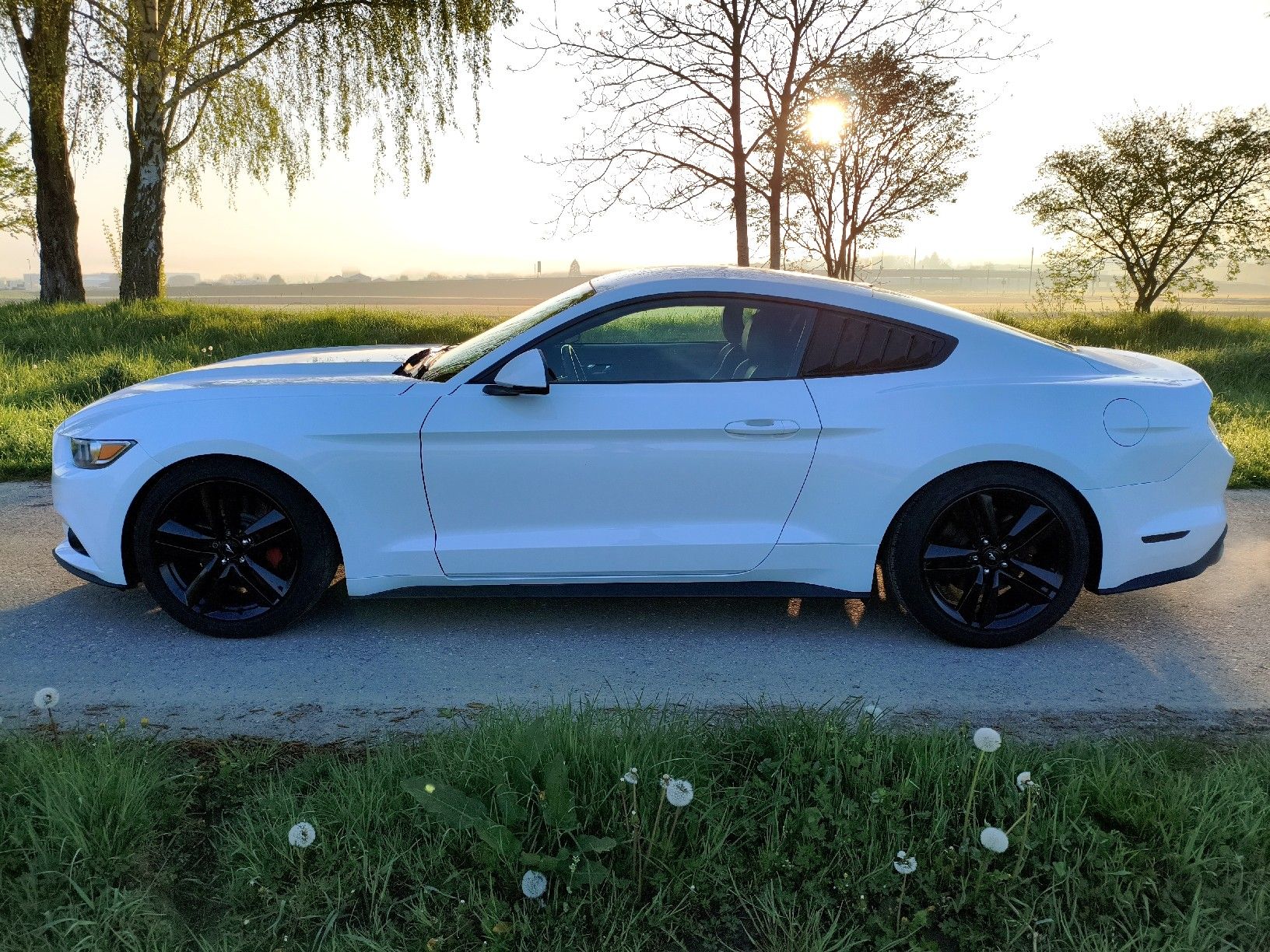 Ford Automobili: Ford Mustang Fastback – Usato da Dompierre FR venduto da F.Blanco 6
