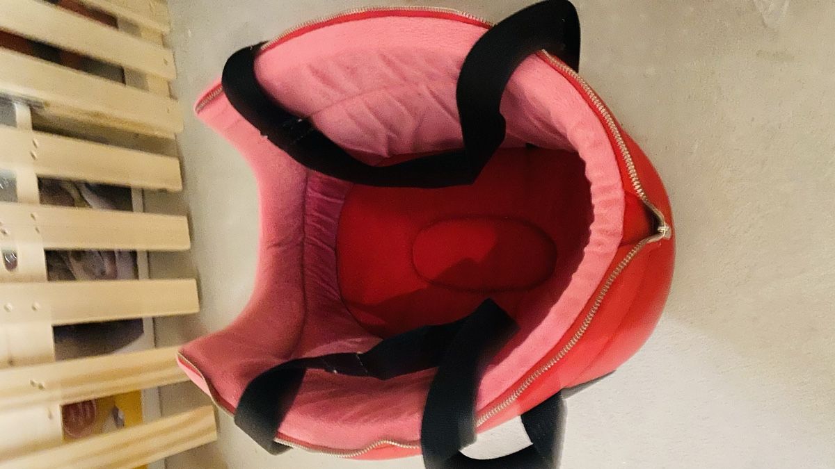 Niches, paniers: Hunde Tragetasche Minnie Mouse Gr. M rot – D'occasion à Killwangen par Fefy 1