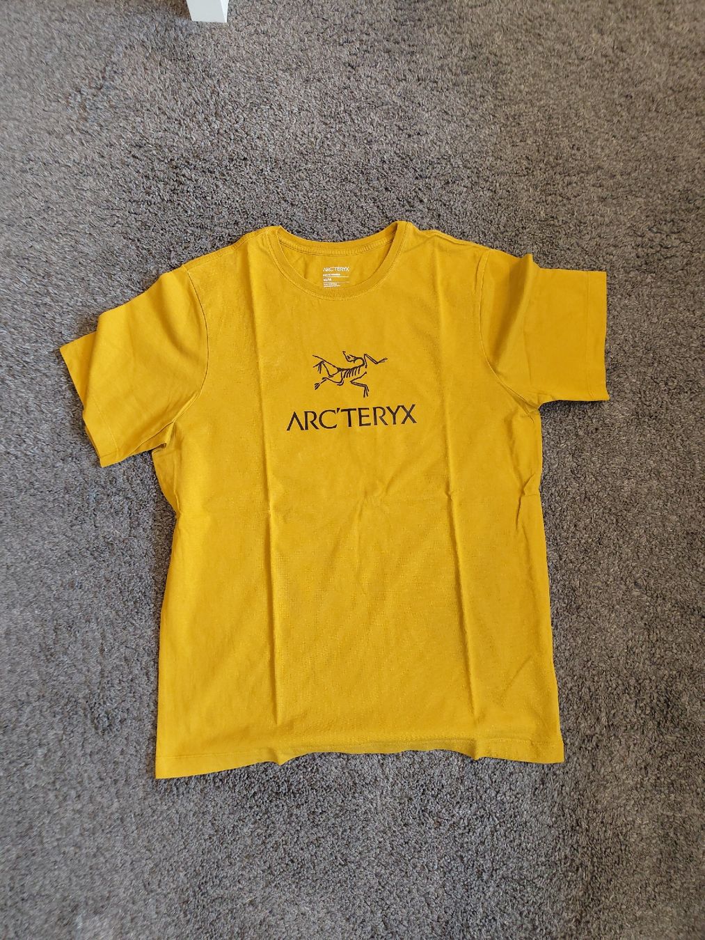 Arcteryx T-Shirts: T-Shirt Arc'teryx – Gebraucht aus Frutigen von 20silas02