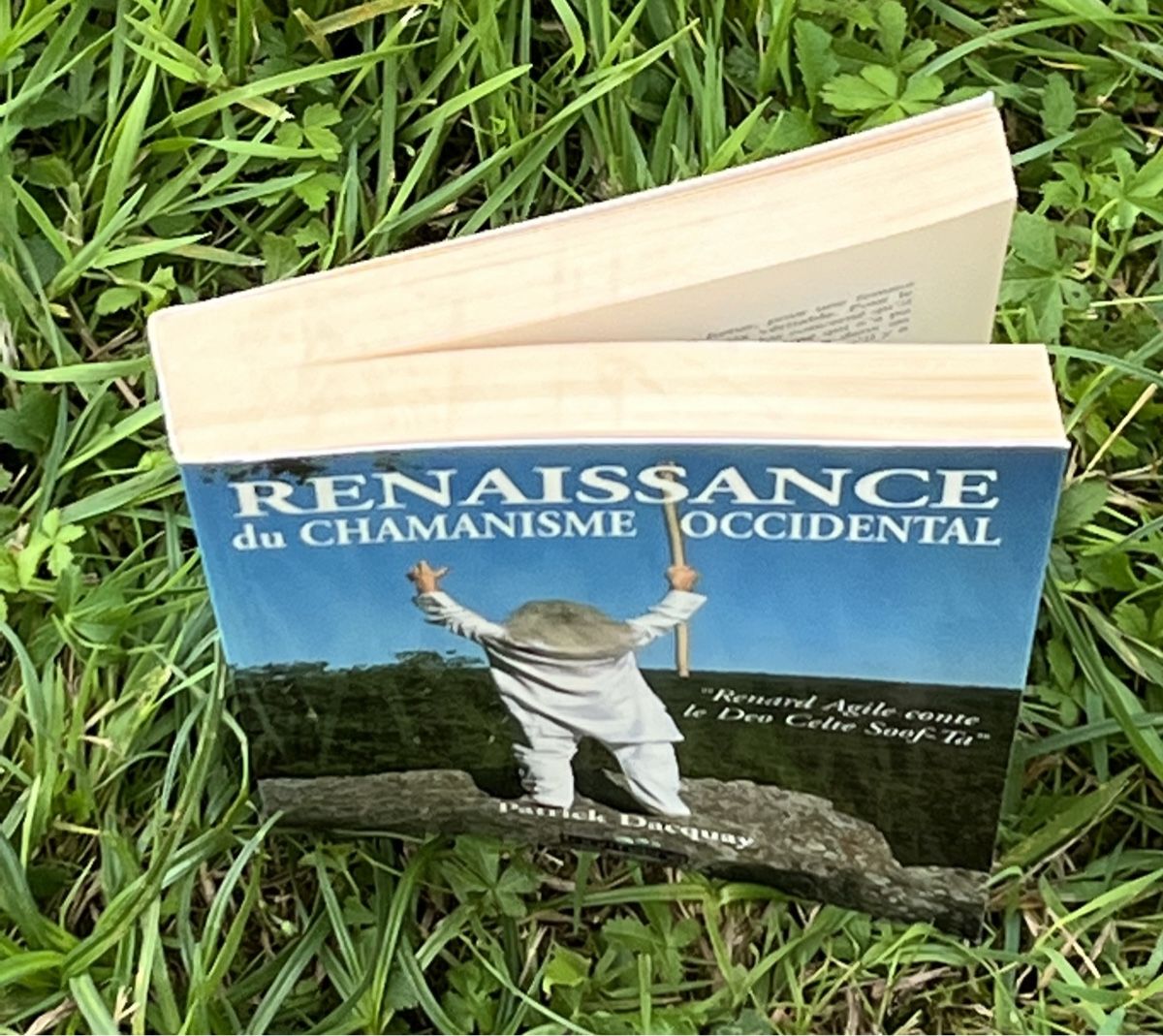 Libri: Renaissance du Chamanisme Occidental par Patrick Dacquay Liv – Usato da La Tour-de-Peilz venduto da Pansy02 9