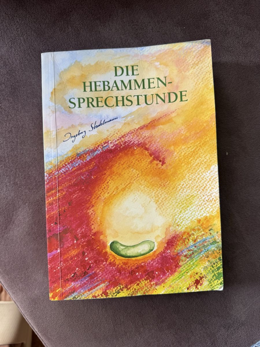 Libri: Die Hebammen-Sprechstunde von Ingeborg Stadelmann Buch – Usato da Schaffhausen venduto da Allisonkim