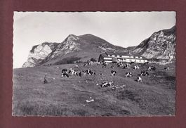 Chalet du GROS PLANE - Moléson - 1971