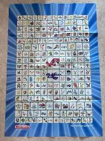 Poster Pokémon Hoenn Rubino Zaffiro - 100 x 70 cm