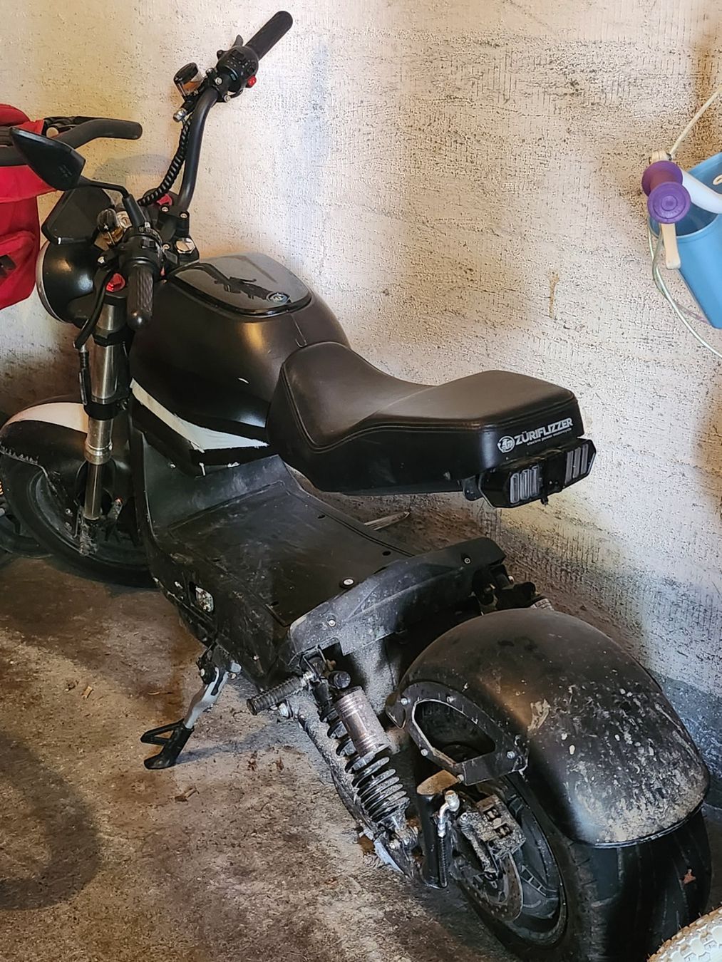 Scooter: E- SCOOTER  City Max RS – Usato da Dietikon venduto da Oxana01 5