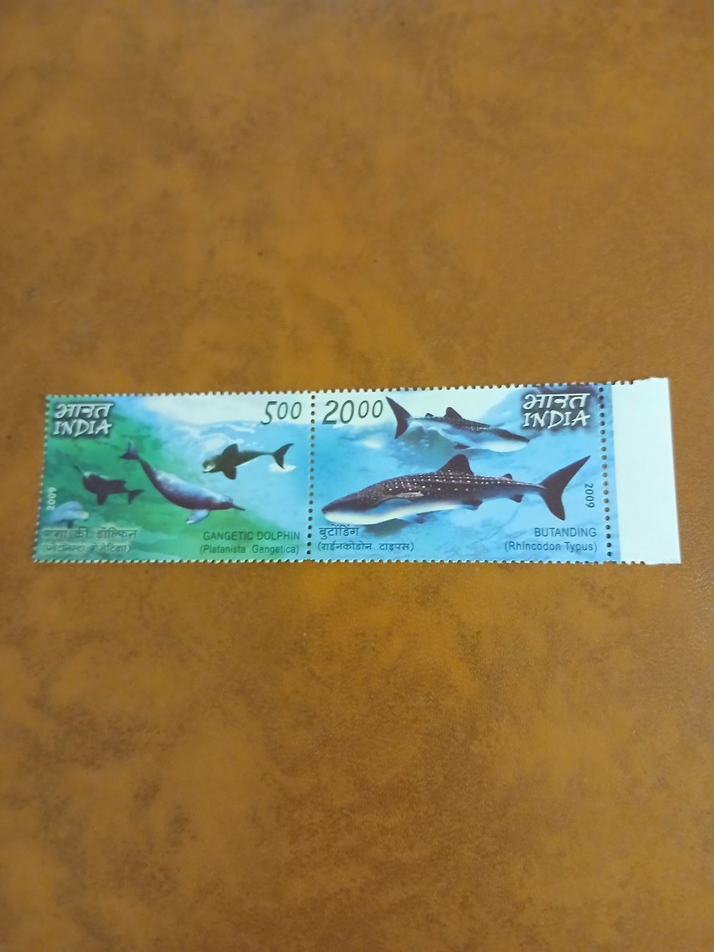 Tous les timbres: Timbres Inde dauphin et requin 2009 – Neuf (Voir description) à Marly par globetrotter1723