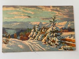 Vintage Winter Postkarte Geb. Mitr.KP Seltene Ansichtskarte!