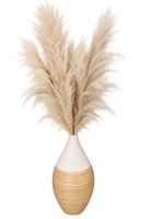 Deko Vase mit Pampasgras beige Natur guter Zustand