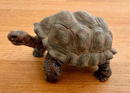 SCHLEICH - Riesenschildkröte 14824
