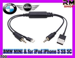 BMW MINI pour iPod iPhone