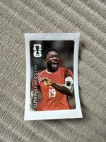 Panini coca extra sticker Alphonso Davies - CC7