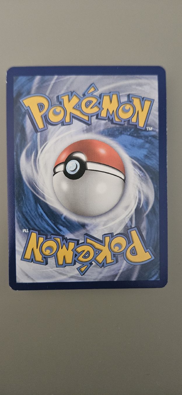 Pokémon Carte collezionabili: Venusaur Megaentwicklung EX 100/108 – Nuovo (secondo la descrizione) da Grenchen venduto da immensum 1