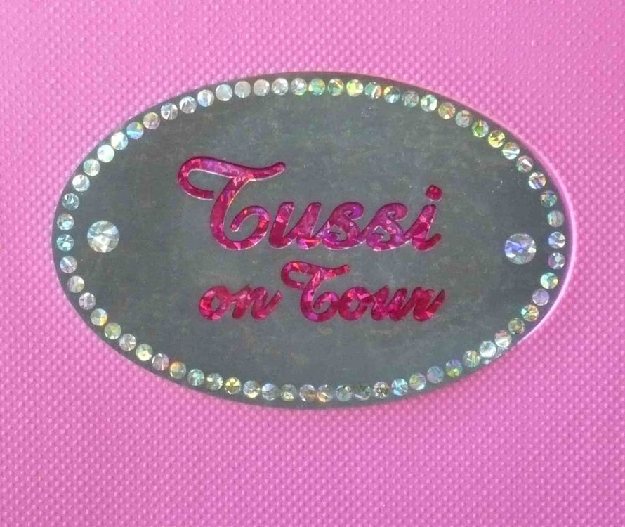 Tussi On Tour Werkzeugkoffer (Barbie Stil)