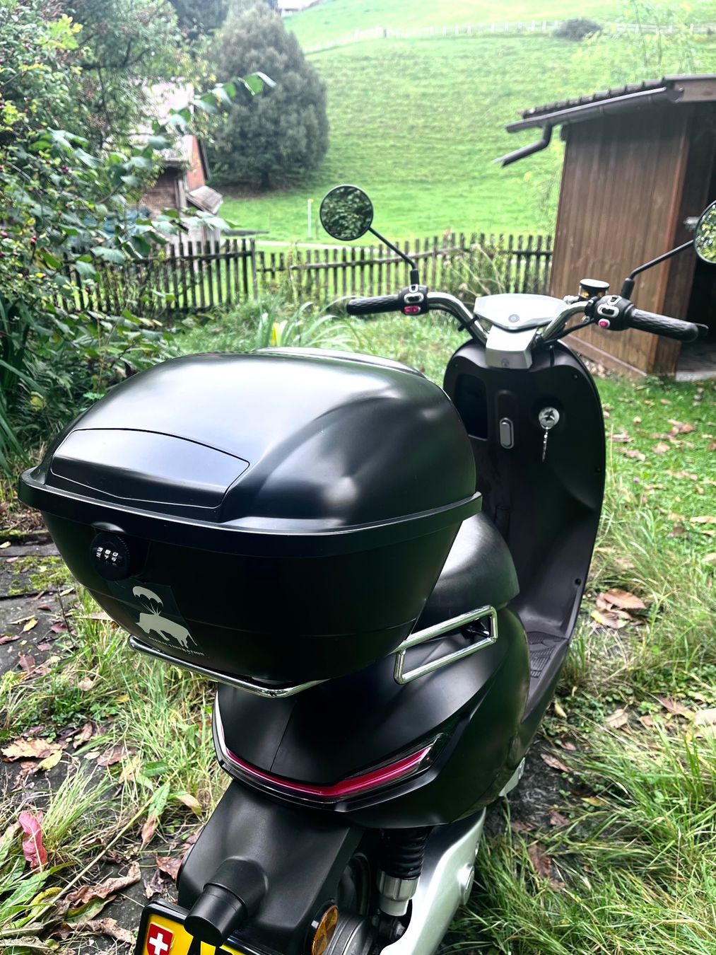 Yadea Scooters: Top E-Töffli / Elektroroller Yadea mit Case und 2 Batterien! – Gebraucht aus Bühler von Ravioli5 1