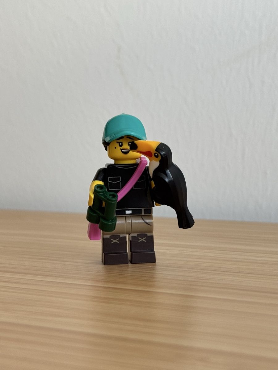 Lego Statuette: Lego Minifigur mit dem Tukan – Nuovo (secondo la descrizione) da Neuhausen am Rheinfall venduto da Laghi 1