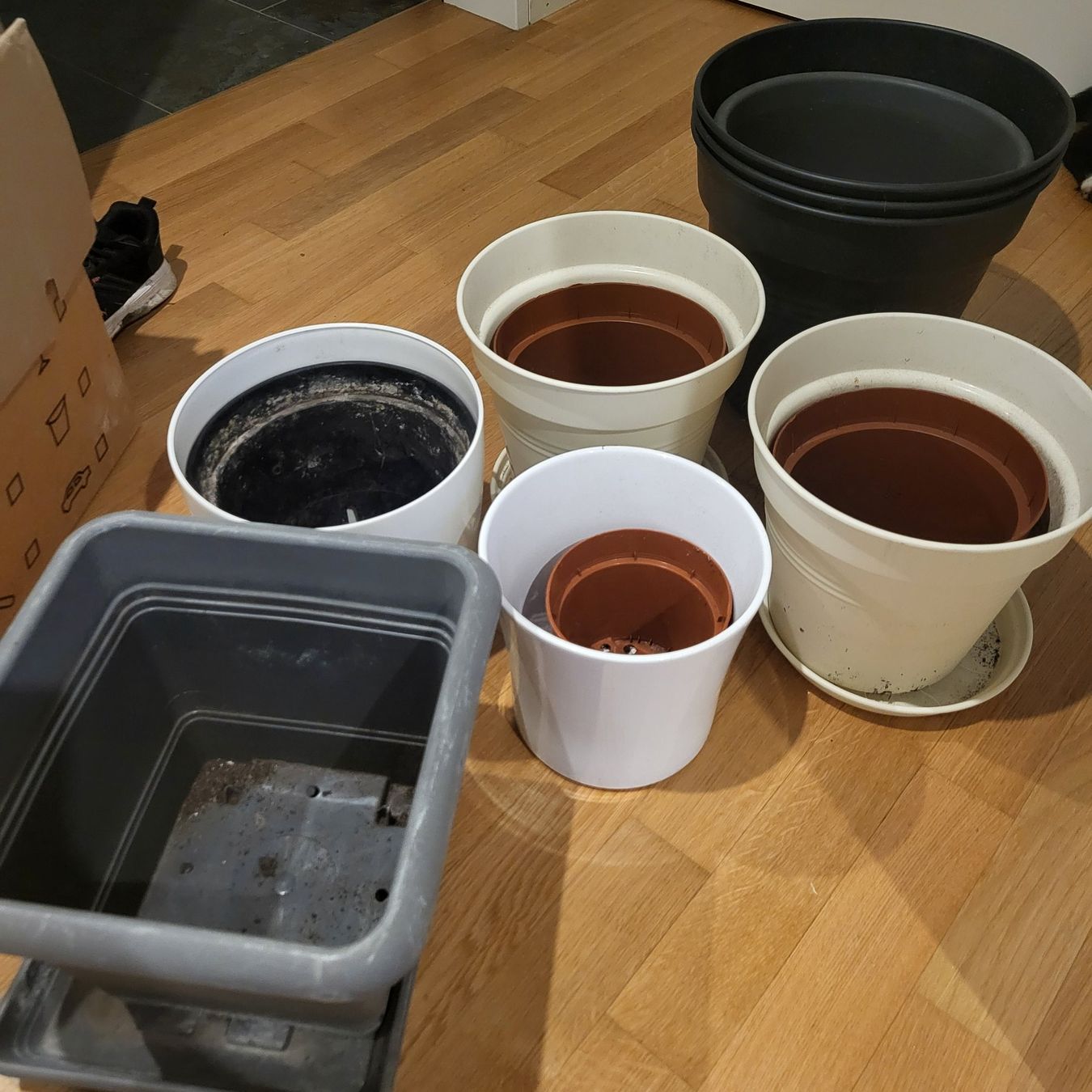 Blumentöpfe: Balkon/Garten Set – Gebraucht aus Thusis von Vivi_88 1