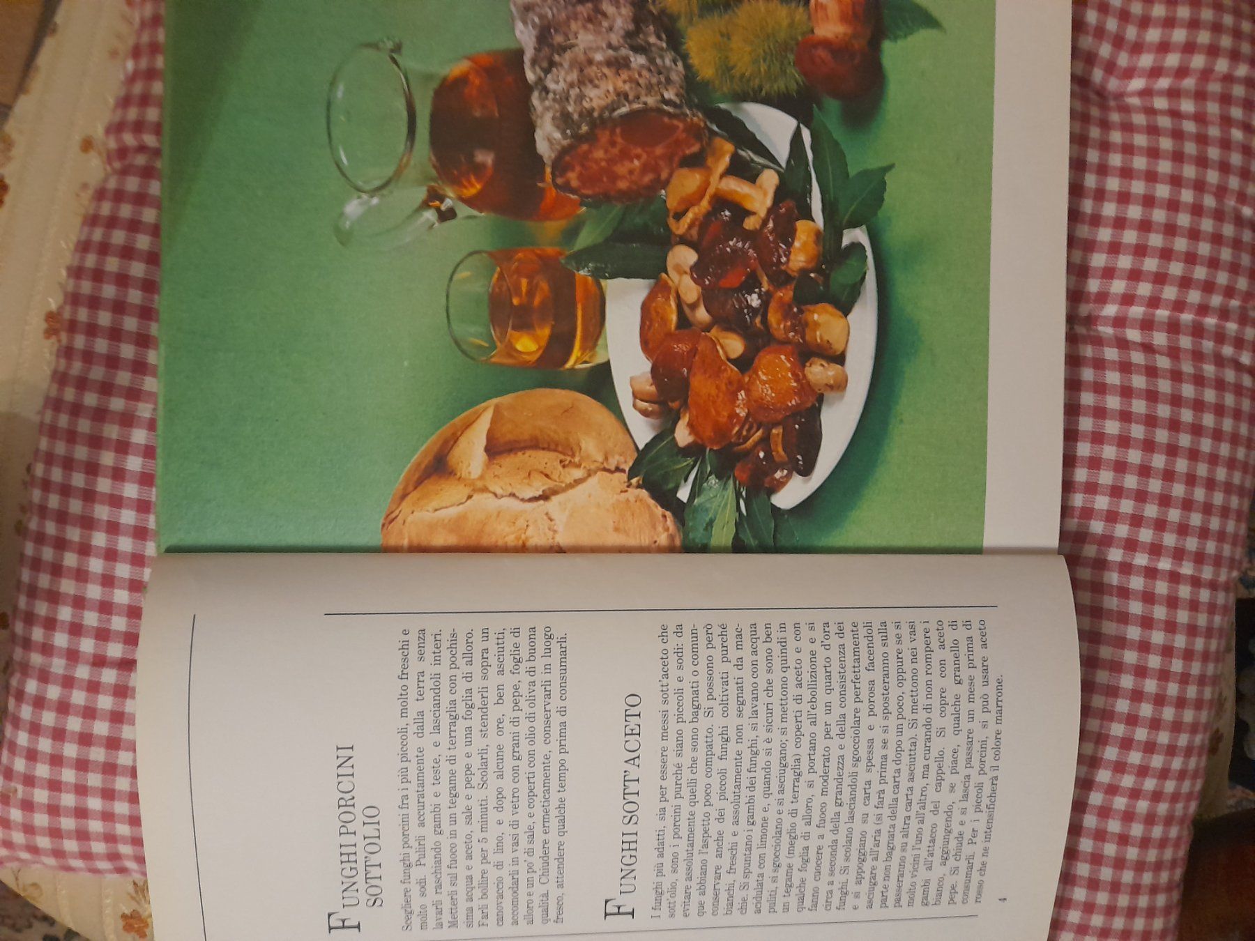 Libri: Kochbuch,Funghi – Usato da Pfaffnau venduto da gologoldun1953 1