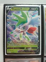 Shaymin V