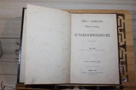 Felix v. Niemeyer's Klinische Vorträge über die Lungenschwin