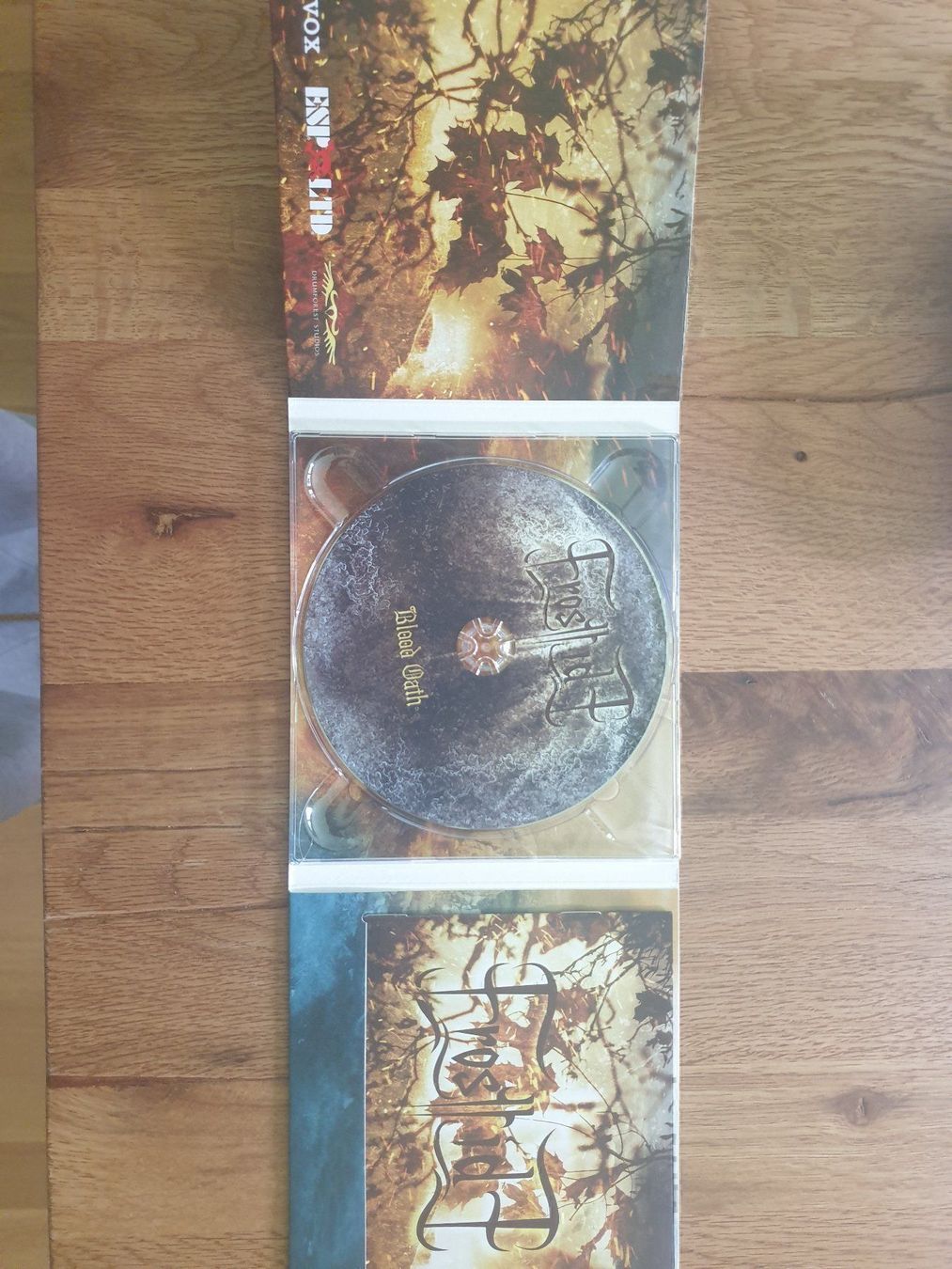 Dischi in vinile: Frosttide Blood Oath – Usato da St.Gallen venduto da Capsule_Corporation 2