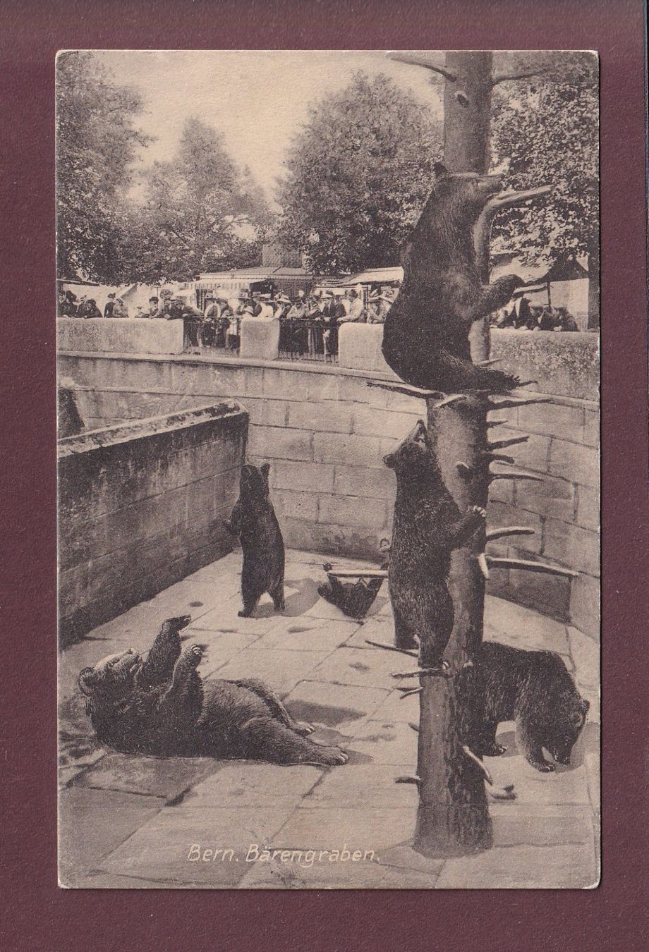 Cartoline postali: BERN - Bärengraben - 1913 – Usato da Pully venduto da nicecards
