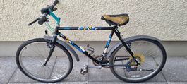 Giant City Velo 26"
