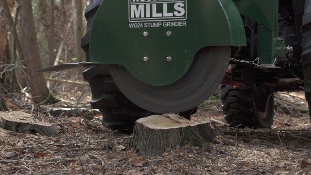 Tutte le macchine: Wurzelstockfräse / Baumstumpffräse – Nuovo e nell'imballaggio originale da Kastanienbaum venduto da acapulco 6