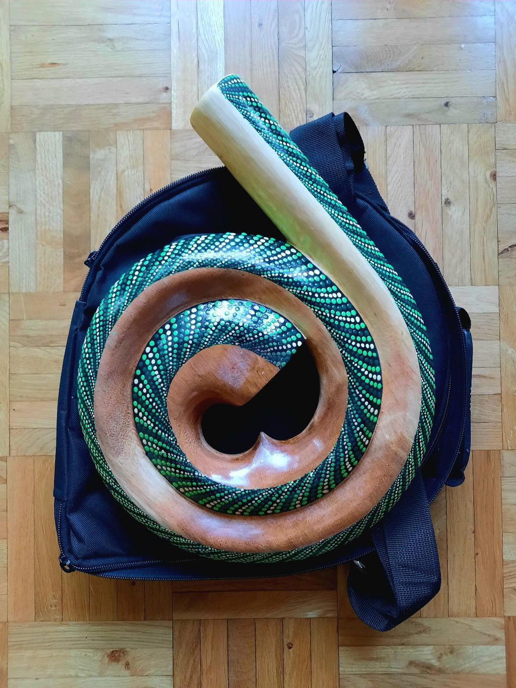 Strumenti musicali: Snail Didgeridoo – Nuovo e nell'imballaggio originale da Pfäffikon/SZ venduto da felima1