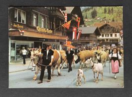 AK Lenk Berner Oberland Alpaufzug