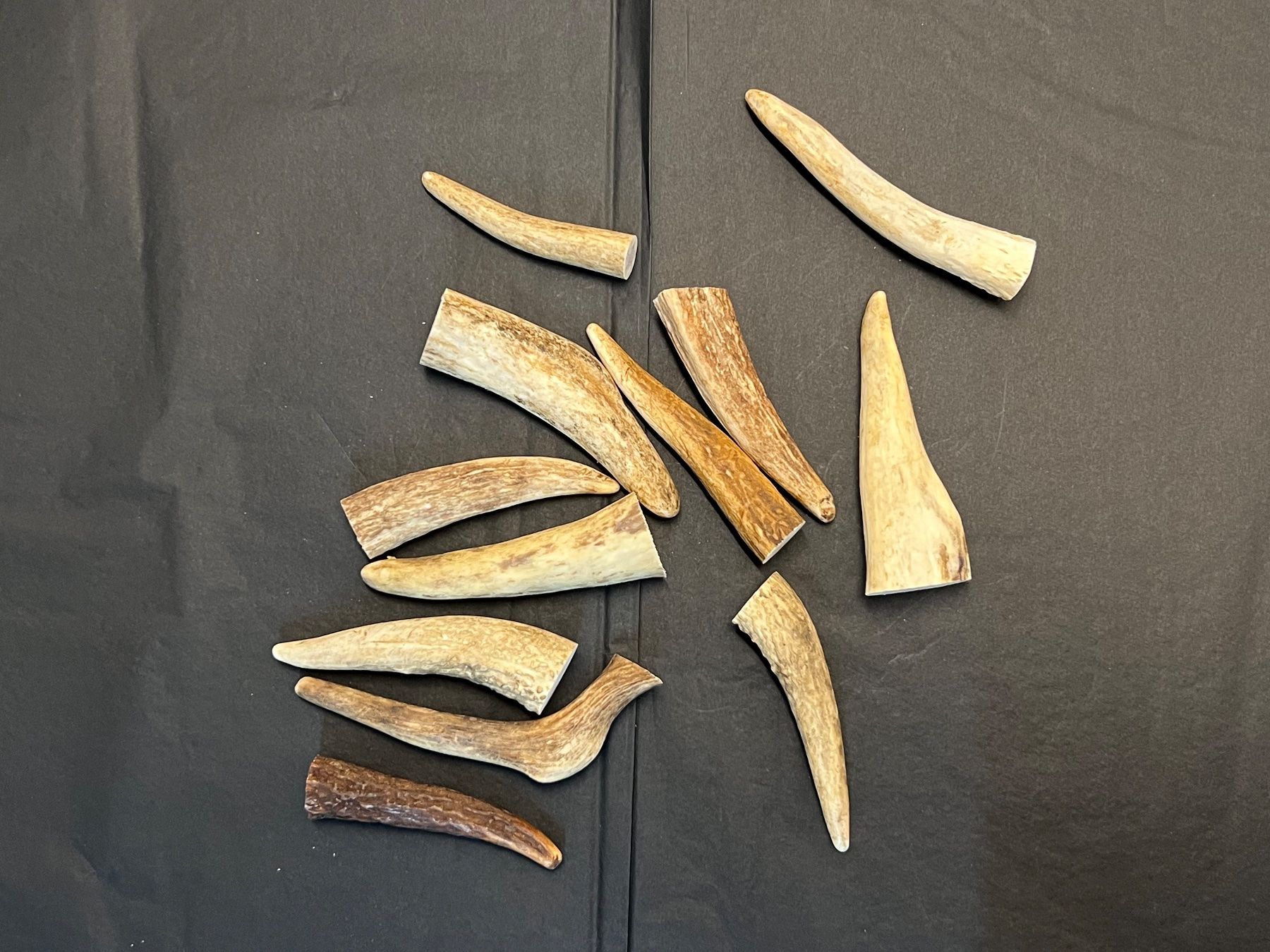 Altre raccolte & rarità: Hirsch Geweih Horn Hirschgeweih Spitzen 8-12cm – Usato da Vaduz venduto da hirschjager