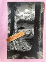 Durchblick gegen Blümlisalp