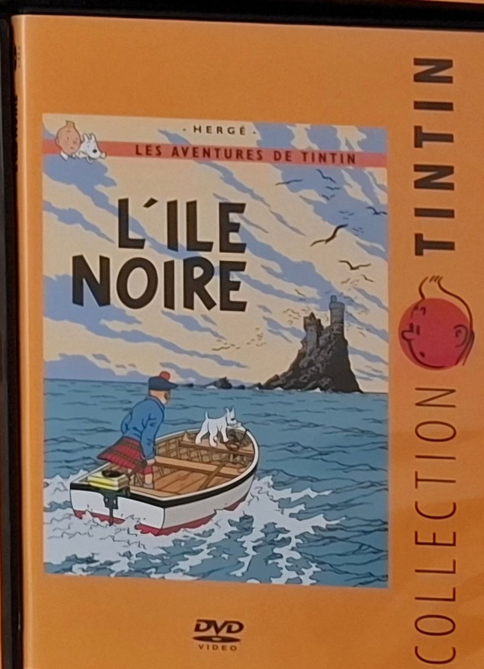 Tutti i DVDs: DVD Collection Tintin – Usato da Lussery-Villars venduto da chanson99