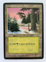 MTG - Forest