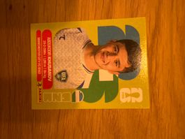 Panini
