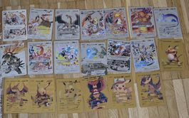 Pokemon Karten inkl Buch