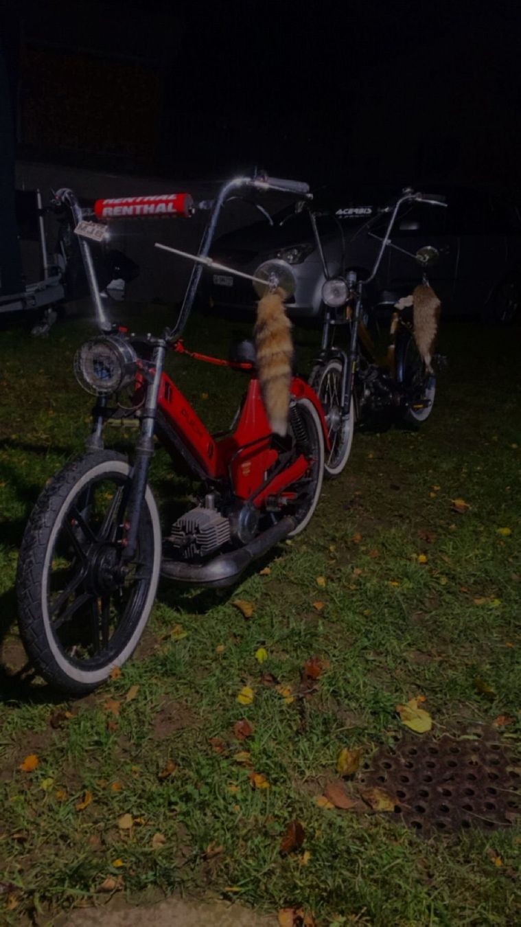 Puch Mofas: Puch Maxi S – Gebraucht aus Kirchberg SG von Schratte 3